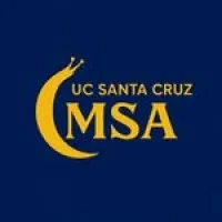 MSA